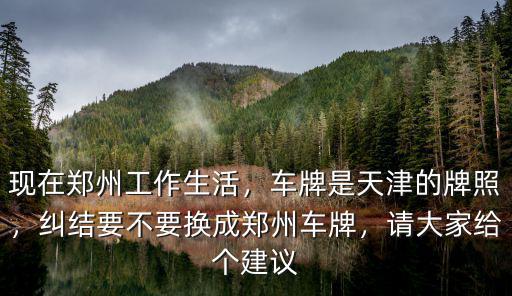 現(xiàn)在鄭州工作生活，車牌是天津的牌照，糾結(jié)要不要換成鄭州車牌，請(qǐng)大家給個(gè)建議