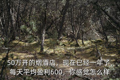 50萬開的煙酒店，現在已經一年了，每天平均盈利600，你感覺怎么樣