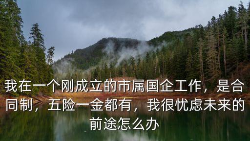 安陽五險一金的工作怎么辦,在外面工作交的五險一金