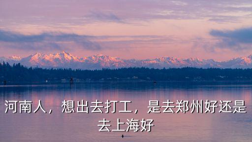 河南人，想出去打工，是去鄭州好還是去上海好