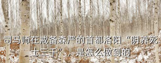 三國志保衛洛陽怎么進刷寶區,三國志戰略版洛陽怎么守