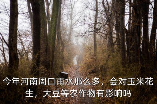 周口大豆哪里種的多,種棉花和種大豆哪一個賺錢些
