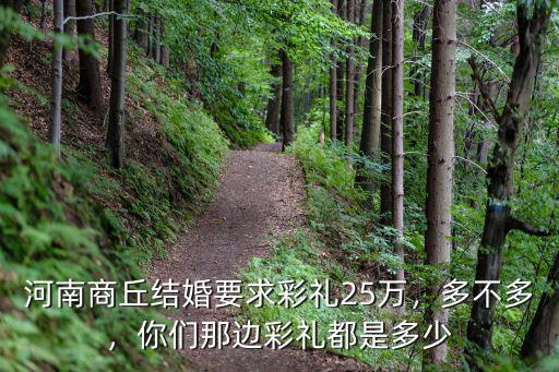 河南各市彩禮多少萬(wàn),河南南陽(yáng)彩禮多少錢