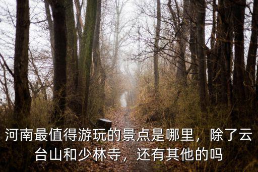 河南最值得游玩的景點是哪里，除了云臺山和少林寺，還有其他的嗎