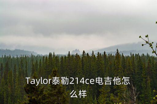 鄭州美國泰勒吉他怎么樣,楚門吉他怎么樣