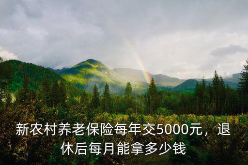 新農(nóng)村養(yǎng)老保險(xiǎn)每年交5000元，退休后每月能拿多少錢(qián)