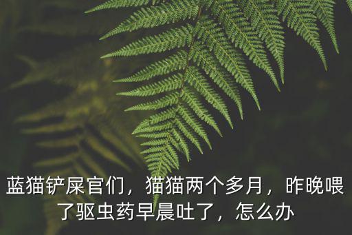 藍貓鏟屎官們，貓貓兩個多月，昨晚喂了驅(qū)蟲藥早晨吐了，怎么辦