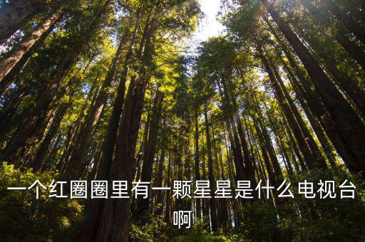 一個紅圈圈里有一顆星星是什么電視臺啊