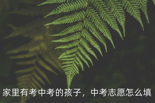 家里有考中考的孩子，中考志愿怎么填