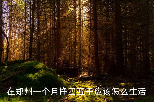 鄭州一個月得掙多少錢一個月,一個月想掙一萬多塊錢可能嗎
