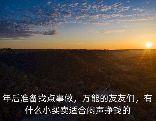 年后準備找點事做，萬能的友友們，有什么小買賣適合悶聲掙錢的