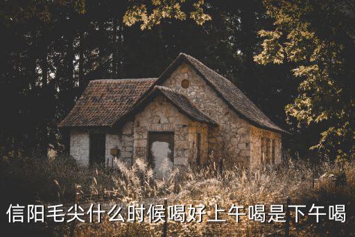 信陽毛尖什么時候喝好上午喝是下午喝