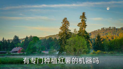 鄭州哪里有賣打紅薯的機器設備,哪里有賣刨紅薯的機器