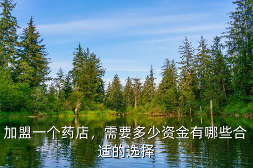 加盟一個藥店，需要多少資金有哪些合適的選擇