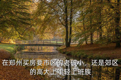 在鄭州買房要市區的老破小，還是郊區的高大上年輕上班族