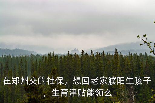 鄭州職工申請的生育保險在哪里領,在鄭州交的社保