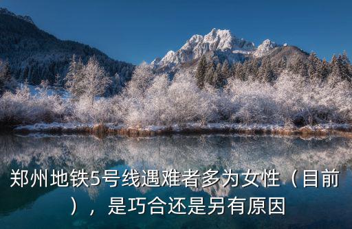 鄭州地鐵五號線遇難者一共多少名,鄭州地鐵遇難者