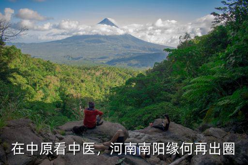 在中原看中醫，河南南陽緣何再出圈