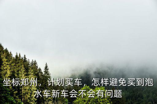 鄭州4s店的新車泡水車怎么買,鄭州4s店正在賣的汽車