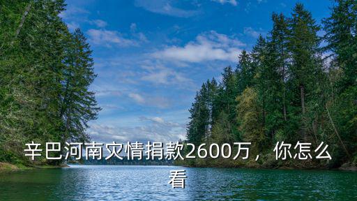 辛巴河南災情捐款2600萬，你怎么看