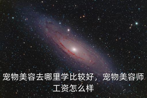 寵物美容去哪里學(xué)比較好，寵物美容師工資怎么樣