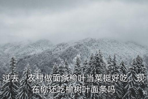 過去，農(nóng)村做面條榆葉當(dāng)菜挺好吃，現(xiàn)在你還吃榆樹葉面條嗎