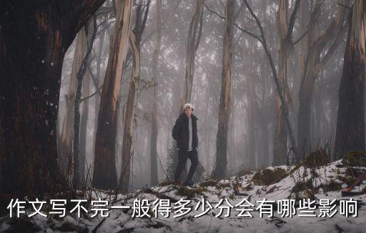 作文寫不完一般得多少分會有哪些影響