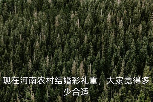 現在河南農村結婚彩禮重，大家覺得多少合適