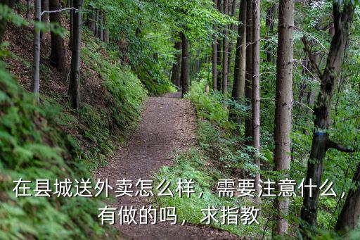 在縣城送外賣怎么樣，需要注意什么，有做的嗎，求指教