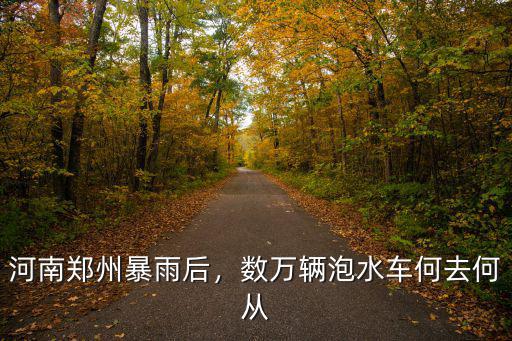 鄭州暴雨車泡了怎么辦,鄭州暴雨過后