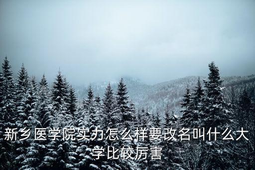 新鄉醫學院實力怎么樣要改名叫什么大學比較厲害