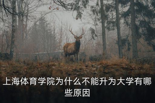 上海體育學院，上海體育學院和華東師大體育學院哪個更好一點體育考四項的體育生