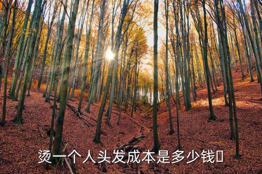鄭州燙頭多少錢一個,燙一個人頭發成本是多少錢
