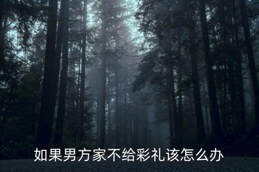 如果男方家不給彩禮該怎么辦