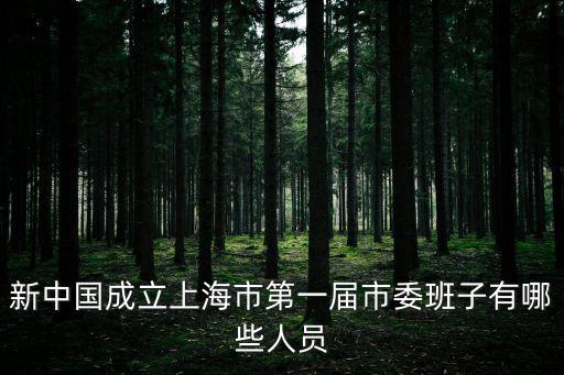 新中國成立上海市第一屆市委班子有哪些人員