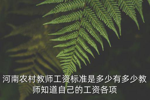 河南農(nóng)村教師工資標準是多少有多少教師知道自己的工資各項