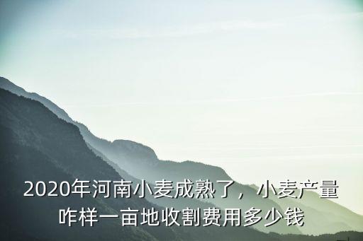 2020年河南小麥成熟了，小麥產量咋樣一畝地收割費用多少錢