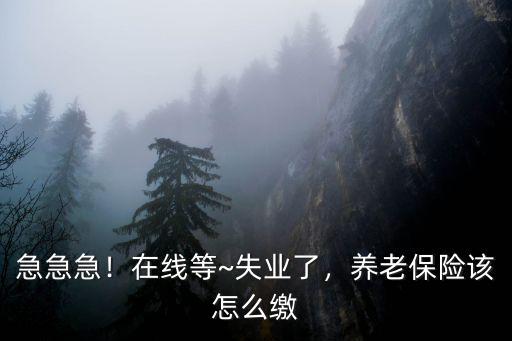 南陽市失業人員養老保險怎么交,養老保險該怎么繳