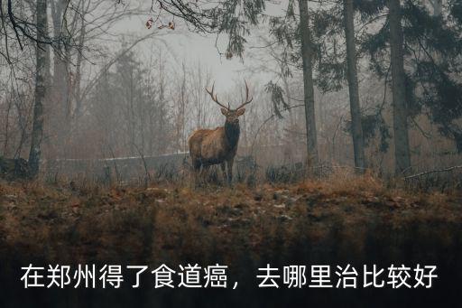 河南林縣治食道癌在哪里,在鄭州得了食道癌