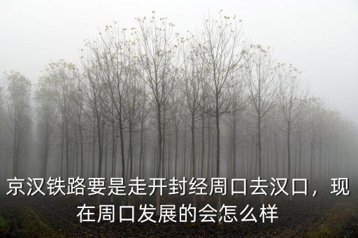 京漢鐵路要是走開封經(jīng)周口去漢口，現(xiàn)在周口發(fā)展的會怎么樣