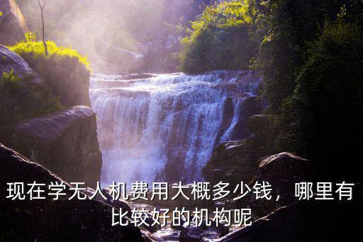 現在學無人機費用大概多少錢，哪里有比較好的機構呢
