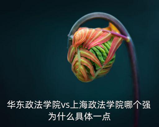 華東政法學(xué)院vs上海政法學(xué)院哪個強為什么具體一點
