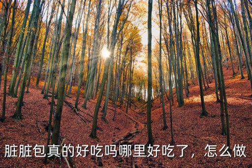 臟臟包真的好吃嗎哪里好吃了，怎么做