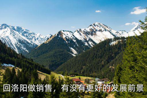 回洛陽做銷售，有沒有更好的發展前景