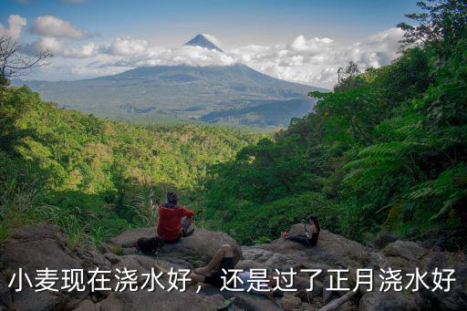 小麥現在澆水好，還是過了正月澆水好