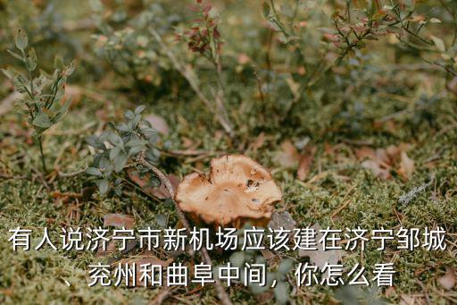 有人說濟(jì)寧市新機(jī)場應(yīng)該建在濟(jì)寧鄒城、兗州和曲阜中間，你怎么看