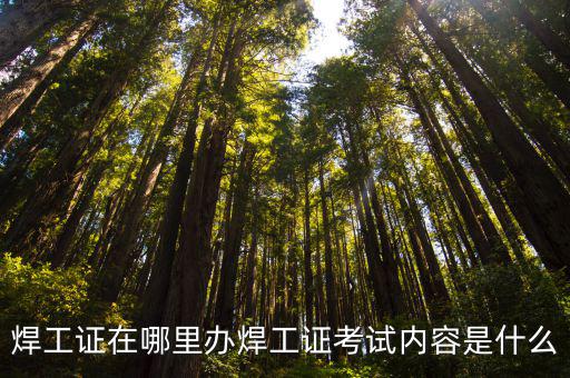 鶴壁焊工證在哪里考,焊工證在哪里辦
