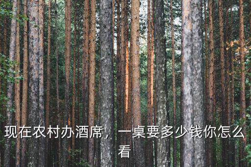 現在農村辦酒席，一桌要多少錢你怎么看