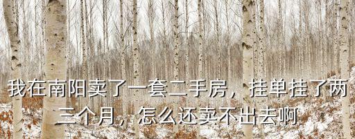 在河南南陽賣房怎么樣,19年在南陽買房