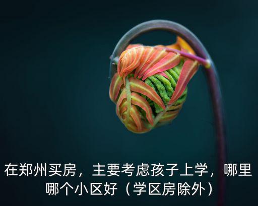 鄭州中原萬達學區房哪里最好,鄭州有哪些優質學區房推薦